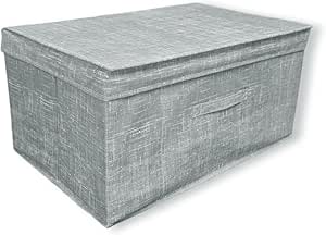 Reliable Portaoggetti Pieghevole con Coperchio, Contenitore in Tessuto con Portaetichetta, Organizzatore, 60 x 40 x 30 cm
