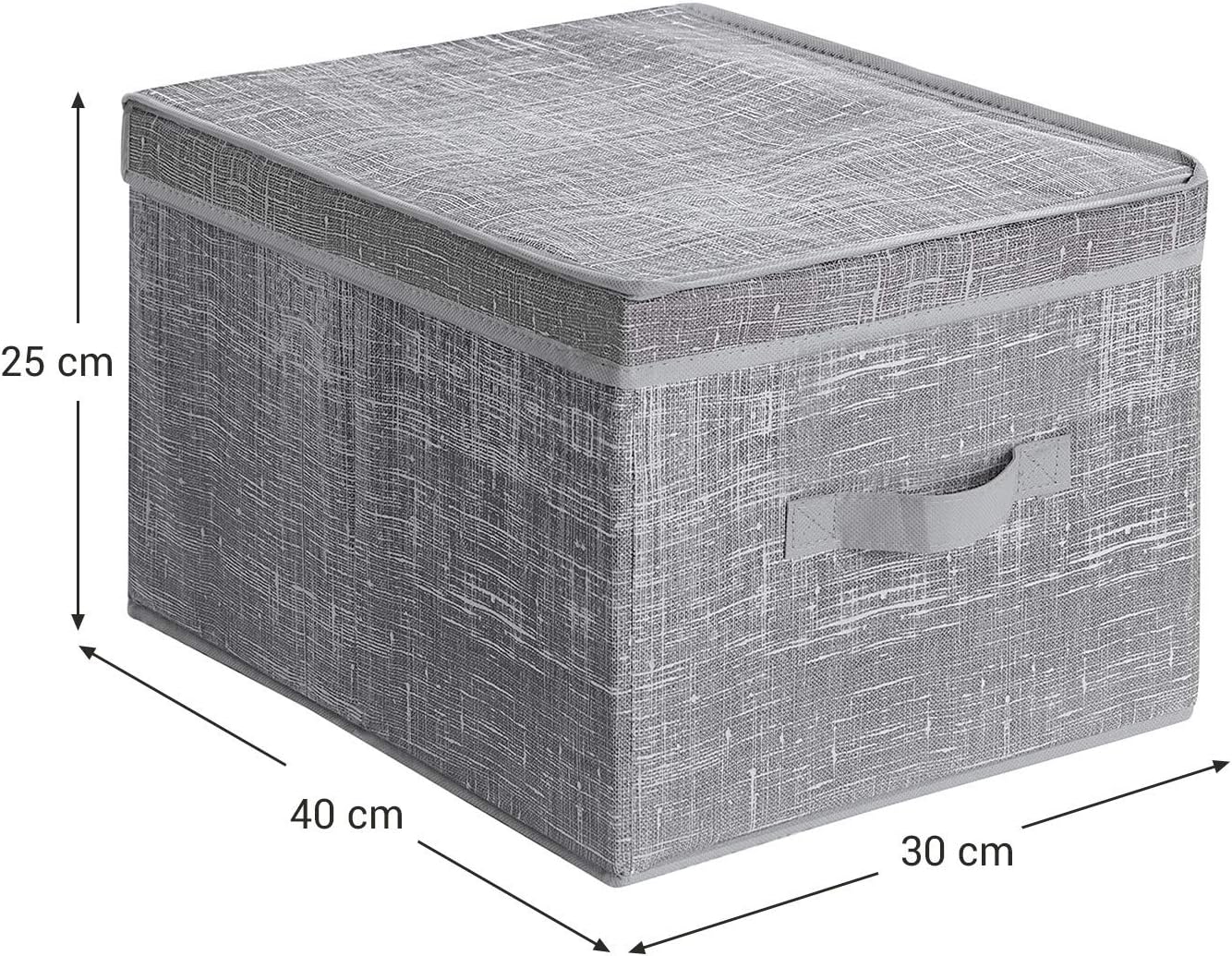 Reliable Portaoggetti Pieghevole con Coperchio, Contenitore in Tessuto con Portaetichetta, Organizzatore, 30 x 40 x 25 cm